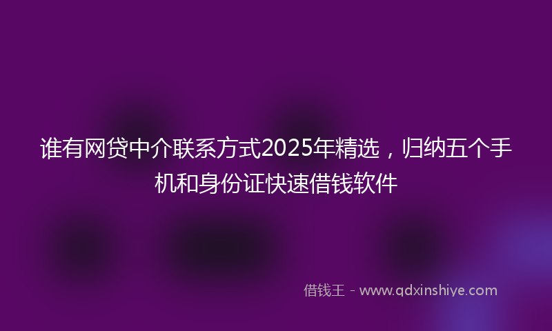 谁有网贷中介联系方式2025年精选，归纳五个手机和身份证快速借钱软件