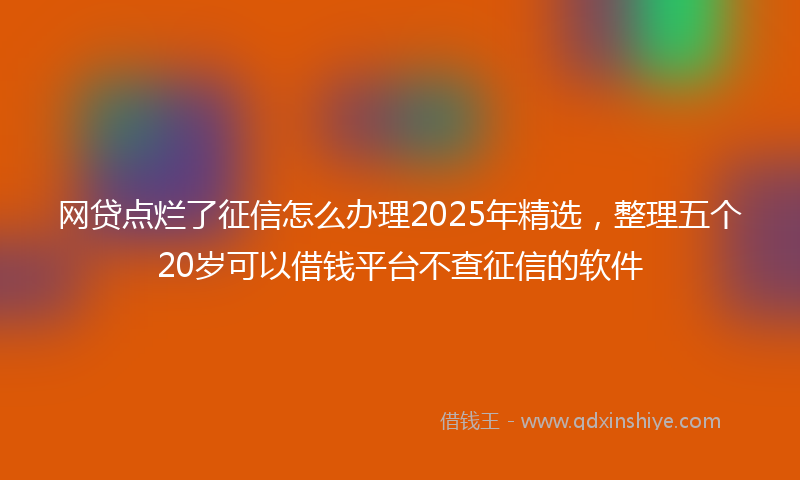 网贷点烂了征信怎么办理2025年精选，整理五个20岁可以借钱平台不查征信的软件
