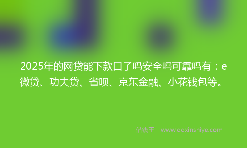 2025年的网贷能下款口子吗安全吗可靠吗有：e微贷、功夫贷、省呗、京东金融、小花钱包等。