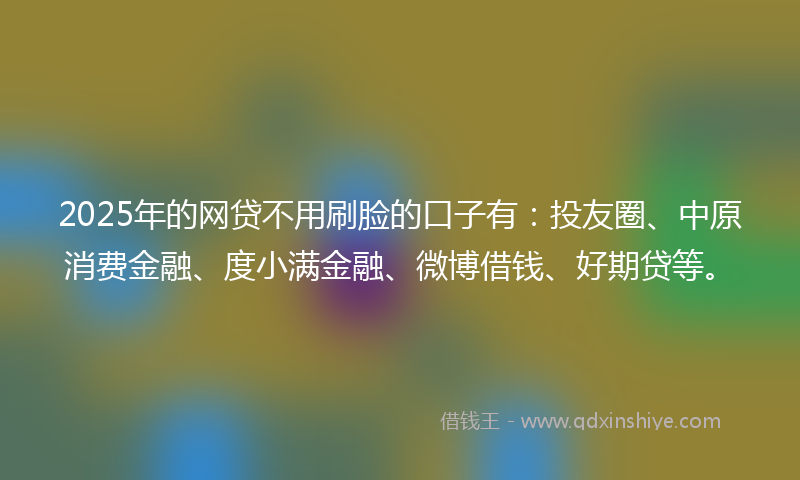 2025年的网贷不用刷脸的口子有：投友圈、中原消费金融、度小满金融、微博借钱、好期贷等。