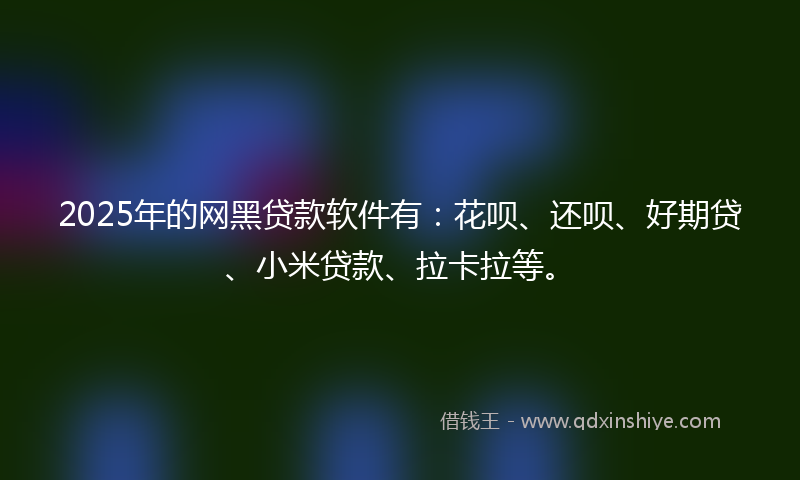 2025年的网黑贷款软件有：花呗、还呗、好期贷、小米贷款、拉卡拉等。