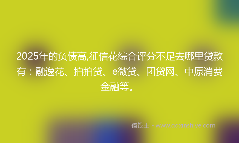 2025年的负债高,征信花综合评分不足去哪里贷款有：融逸花、拍拍贷、e微贷、团贷网、中原消费金融等。