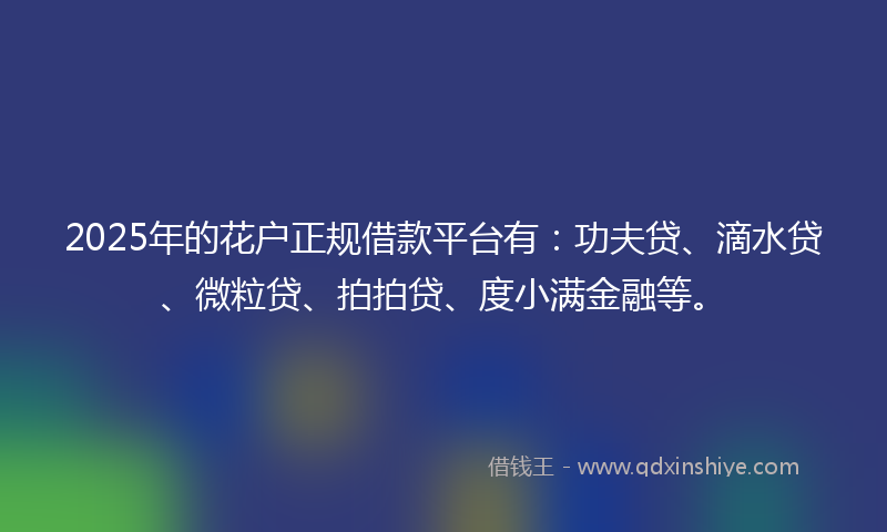 2025年的花户正规借款平台有：功夫贷、滴水贷、微粒贷、拍拍贷、度小满金融等。