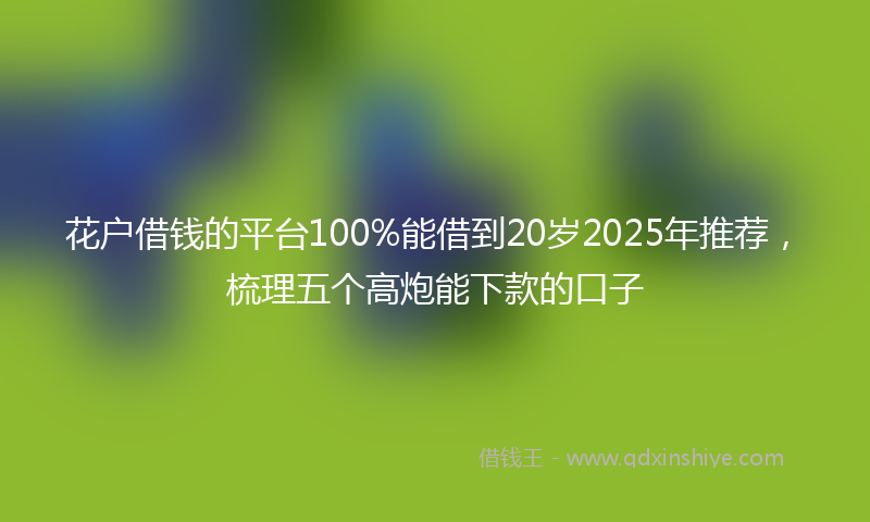 花户借钱的平台100%能借到20岁2025年推荐，梳理五个高炮能下款的口子