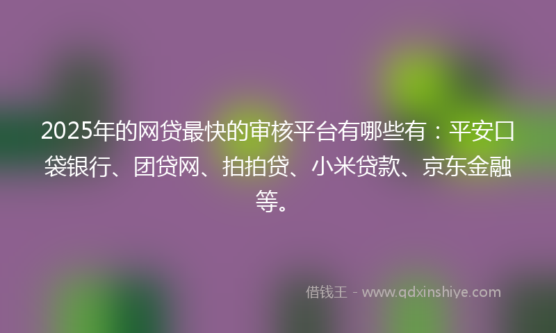 2025年的网贷最快的审核平台有哪些有：平安口袋银行、团贷网、拍拍贷、小米贷款、京东金融等。