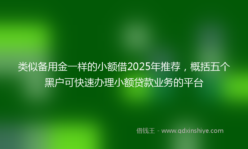 类似备用金一样的小额借2025年推荐，概括五个黑户可快速办理小额贷款业务的平台