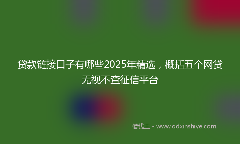 贷款链接口子有哪些2025年精选，概括五个网贷无视不查征信平台