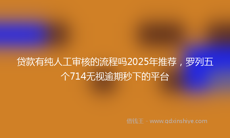 贷款有纯人工审核的流程吗2025年推荐，罗列五个714无视逾期秒下的平台