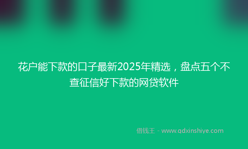 花户能下款的口子最新2025年精选，盘点五个不查征信好下款的网贷软件