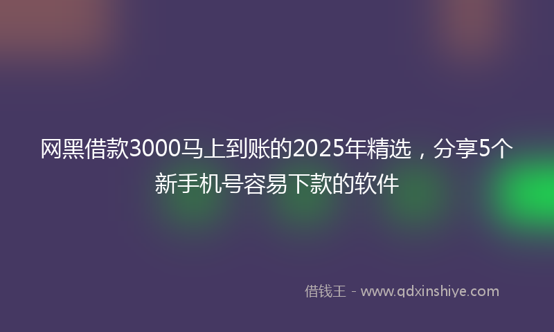 网黑借款3000马上到账的2025年精选，分享5个新手机号容易下款的软件