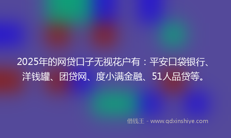 2025年的网贷口子无视花户有：平安口袋银行、洋钱罐、团贷网、度小满金融、51人品贷等。