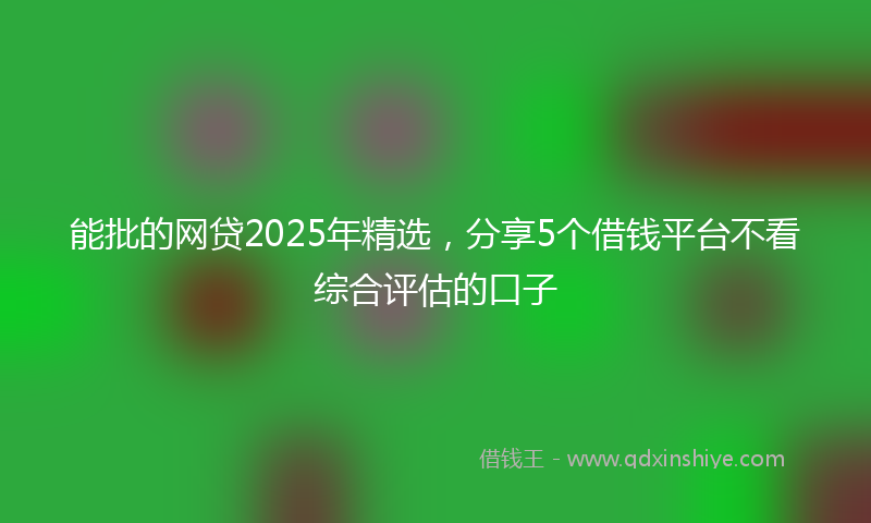 能批的网贷2025年精选，分享5个借钱平台不看综合评估的口子