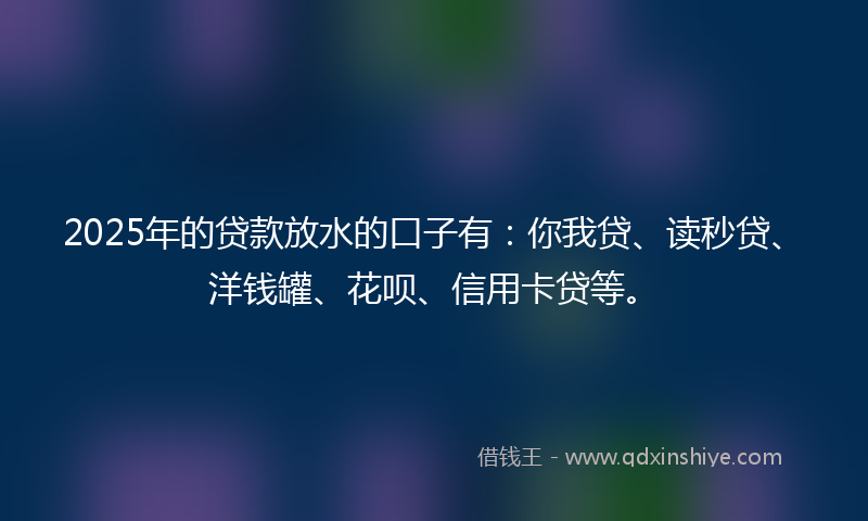 2025年的贷款放水的口子有：你我贷、读秒贷、洋钱罐、花呗、信用卡贷等。