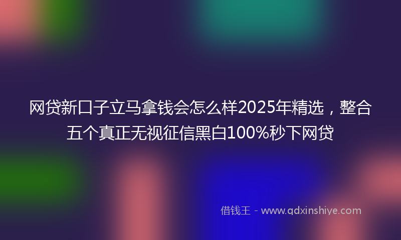 网贷新口子立马拿钱会怎么样2025年精选，整合五个真正无视征信黑白100%秒下网贷