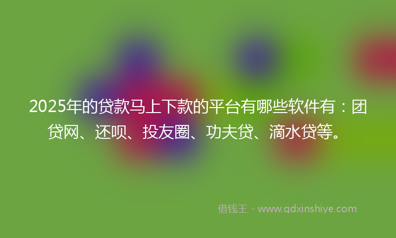 2025年的贷款马上下款的平台有哪些软件有：团贷网、还呗、投友圈、功夫贷、滴水贷等。