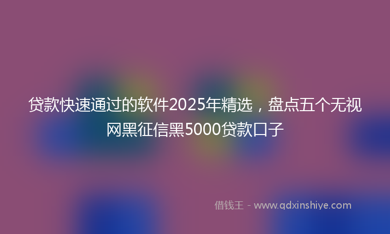 贷款快速通过的软件2025年精选，盘点五个无视网黑征信黑5000贷款口子