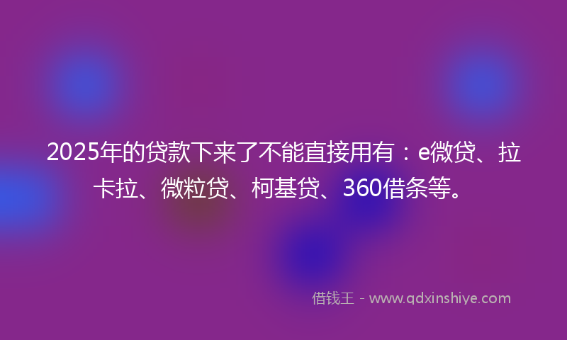 2025年的贷款下来了不能直接用有：e微贷、拉卡拉、微粒贷、柯基贷、360借条等。