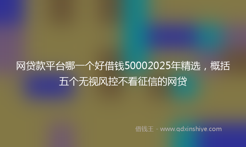 网贷款平台哪一个好借钱50002025年精选，概括五个无视风控不看征信的网贷