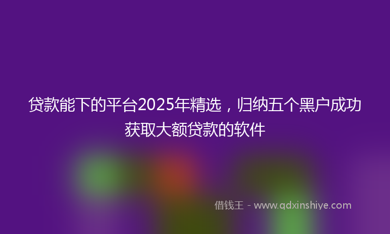 贷款能下的平台2025年精选，归纳五个黑户成功获取大额贷款的软件