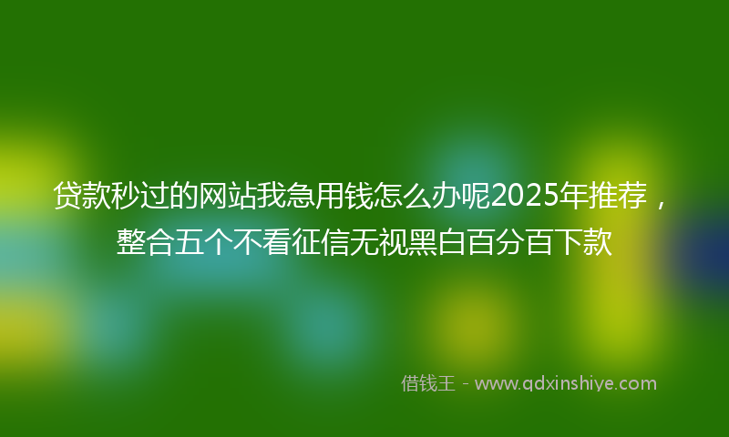 贷款秒过的网站我急用钱怎么办呢2025年推荐，整合五个不看征信无视黑白百分百下款