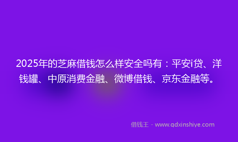2025年的芝麻借钱怎么样安全吗有：平安i贷、洋钱罐、中原消费金融、微博借钱、京东金融等。