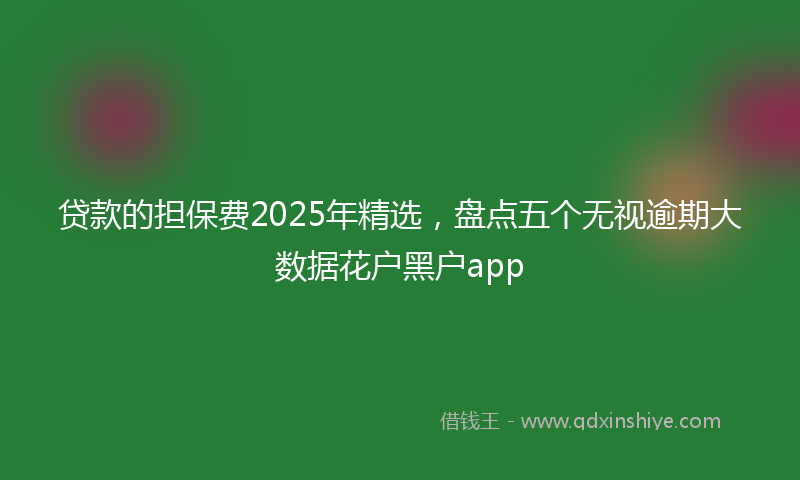 贷款的担保费2025年精选，盘点五个无视逾期大数据花户黑户app