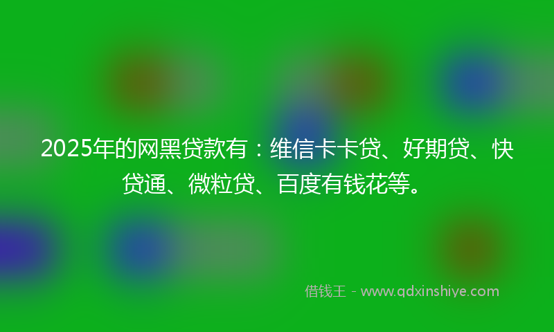 2025年的网黑贷款有：维信卡卡贷、好期贷、快贷通、微粒贷、百度有钱花等。