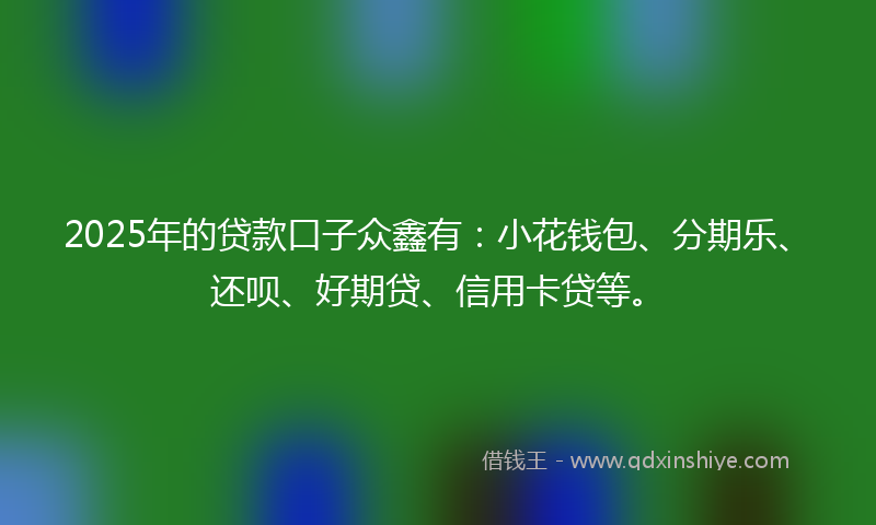 2025年的贷款口子众鑫有：小花钱包、分期乐、还呗、好期贷、信用卡贷等。