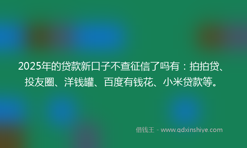2025年的贷款新口子不查征信了吗有：拍拍贷、投友圈、洋钱罐、百度有钱花、小米贷款等。