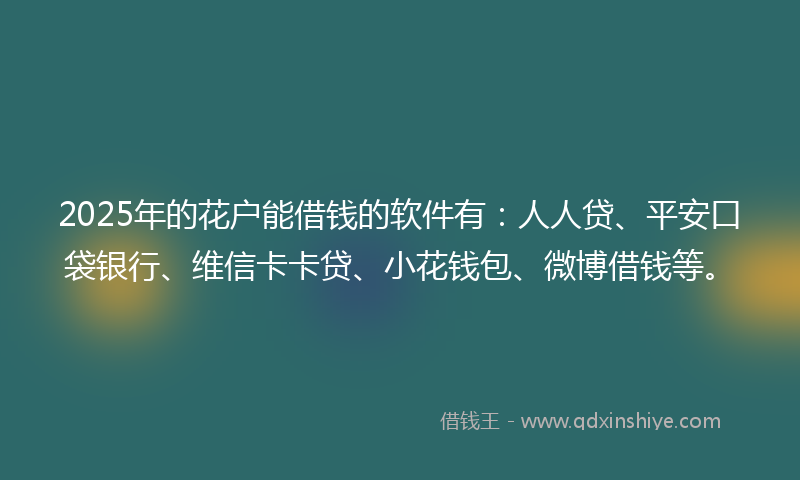 2025年的花户能借钱的软件有：人人贷、平安口袋银行、维信卡卡贷、小花钱包、微博借钱等。