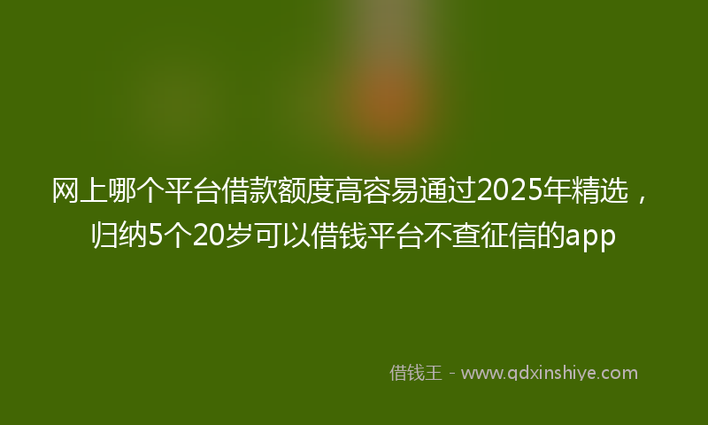 网上哪个平台借款额度高容易通过2025年精选，归纳5个20岁可以借钱平台不查征信的app