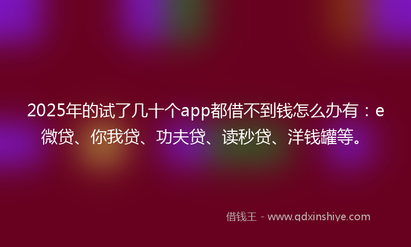 2025年的试了几十个app都借不到钱怎么办有：e微贷、你我贷、功夫贷、读秒贷、洋钱罐等。