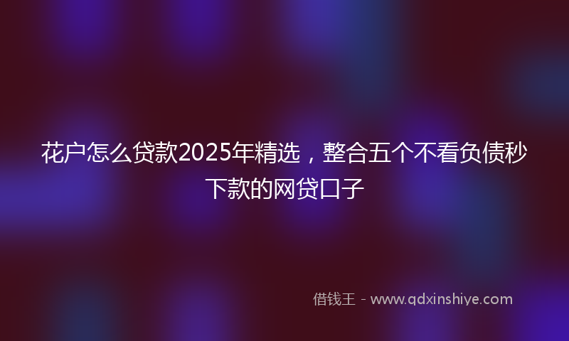 花户怎么贷款2025年精选，整合五个不看负债秒下款的网贷口子
