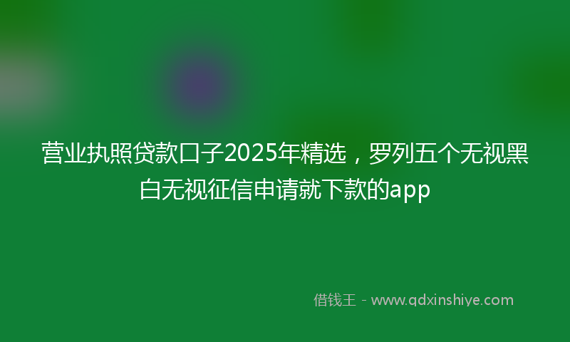 营业执照贷款口子2025年精选，罗列五个无视黑白无视征信申请就下款的app