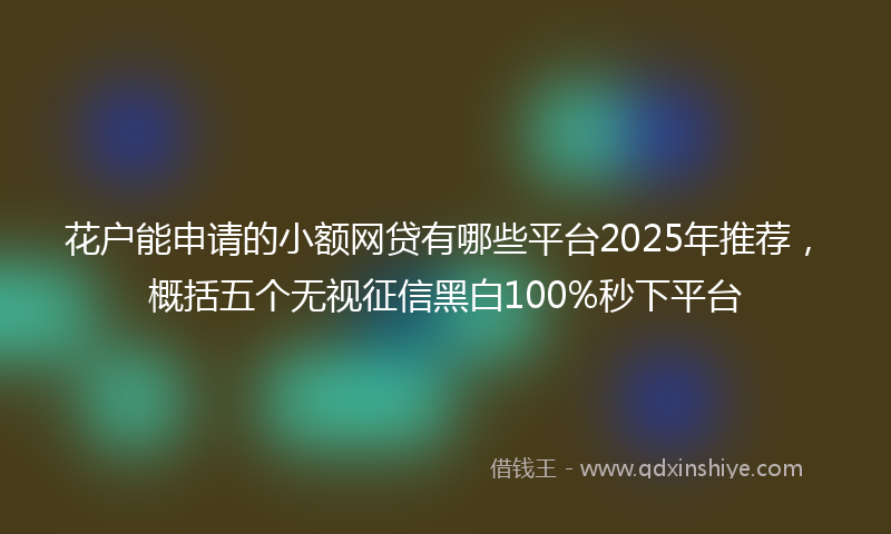花户能申请的小额网贷有哪些平台2025年推荐，概括五个无视征信黑白100%秒下平台