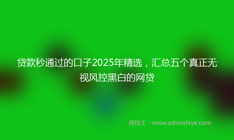 贷款秒通过的口子2025年精选，汇总五个真正无视风控黑白的网贷