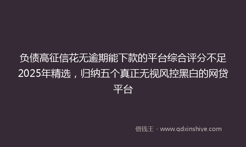 负债高征信花无逾期能下款的平台综合评分不足2025年精选，归纳五个真正无视风控黑白的网贷平台
