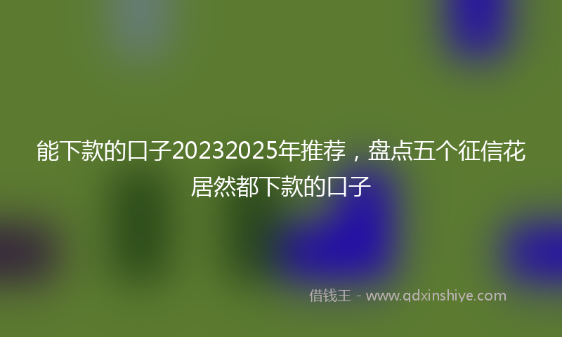 能下款的口子20232025年推荐，盘点五个征信花居然都下款的口子
