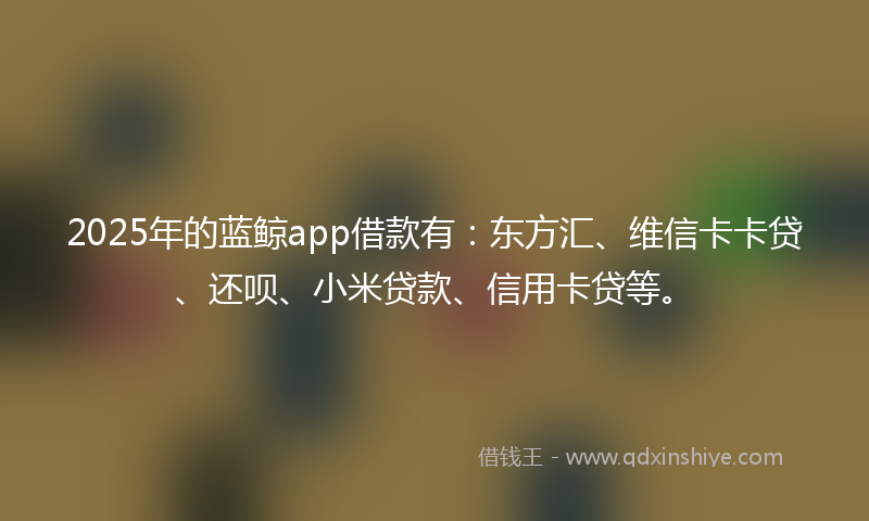 2025年的蓝鲸app借款有：东方汇、维信卡卡贷、还呗、小米贷款、信用卡贷等。