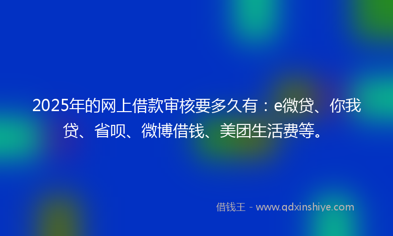 2025年的网上借款审核要多久有：e微贷、你我贷、省呗、微博借钱、美团生活费等。