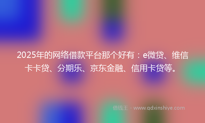 2025年的网络借款平台那个好有：e微贷、维信卡卡贷、分期乐、京东金融、信用卡贷等。