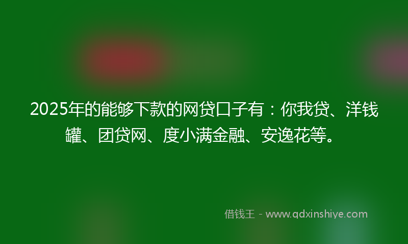 2025年的能够下款的网贷口子有：你我贷、洋钱罐、团贷网、度小满金融、安逸花等。