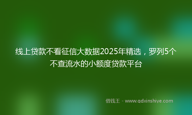 线上贷款不看征信大数据2025年精选，罗列5个不查流水的小额度贷款平台