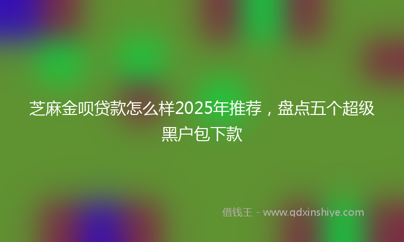 芝麻金呗贷款怎么样2025年推荐，盘点五个超级黑户包下款