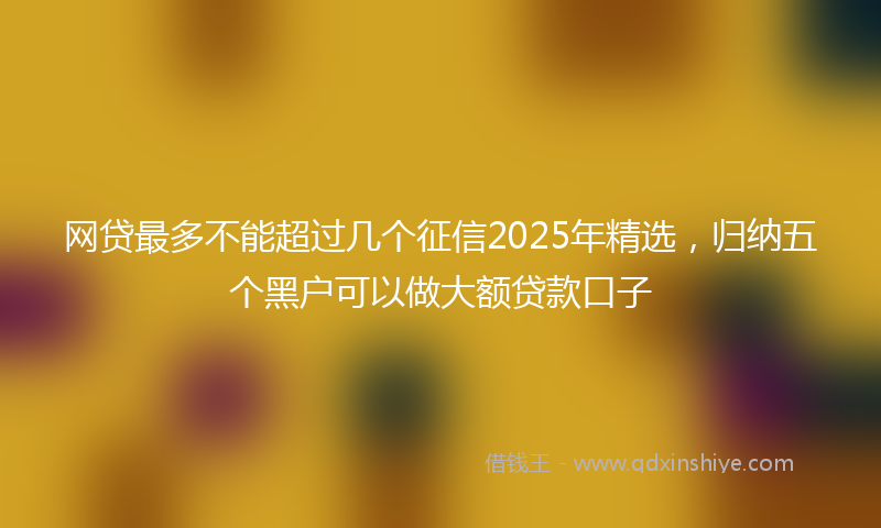 网贷最多不能超过几个征信2025年精选，归纳五个黑户可以做大额贷款口子
