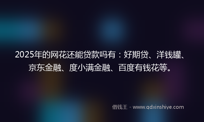 2025年的网花还能贷款吗有：好期贷、洋钱罐、京东金融、度小满金融、百度有钱花等。