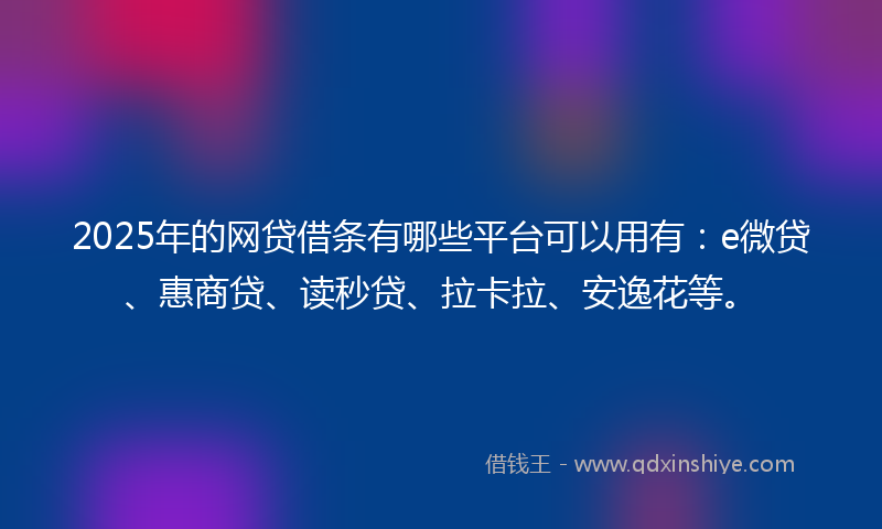 2025年的网贷借条有哪些平台可以用有：e微贷、惠商贷、读秒贷、拉卡拉、安逸花等。