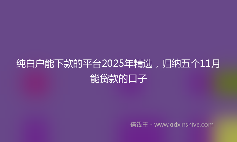 纯白户能下款的平台2025年精选，归纳五个11月能贷款的口子