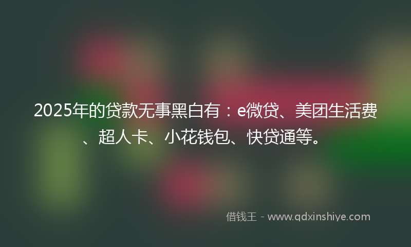 2025年的贷款无事黑白有：e微贷、美团生活费、超人卡、小花钱包、快贷通等。