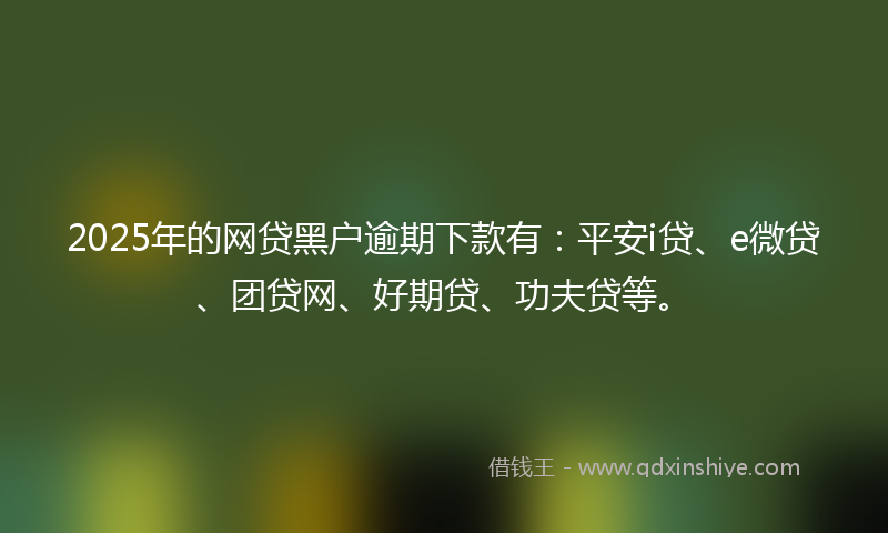 2025年的网贷黑户逾期下款有：平安i贷、e微贷、团贷网、好期贷、功夫贷等。